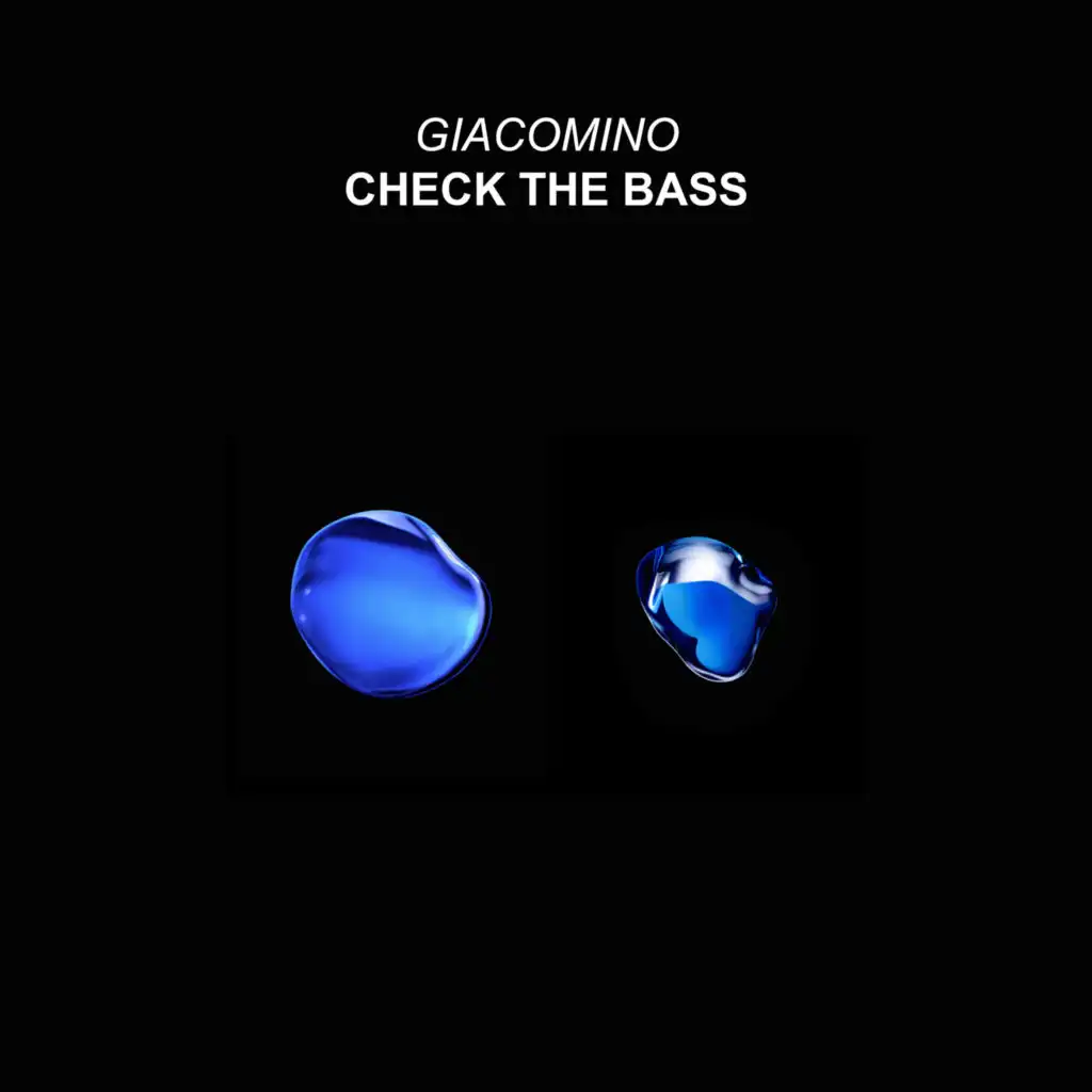 Check the Bass (Radio Edit)
