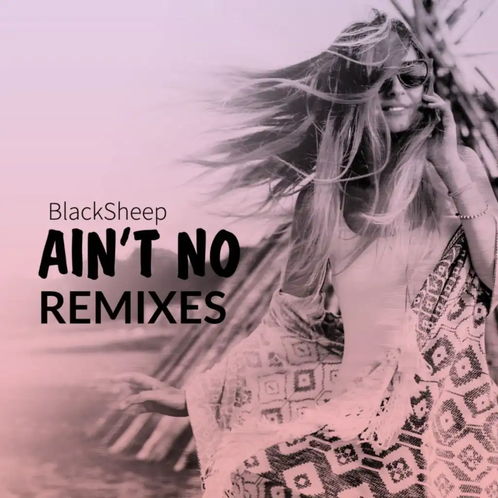 Ain't No (Blacksheep's Kickit Remix)