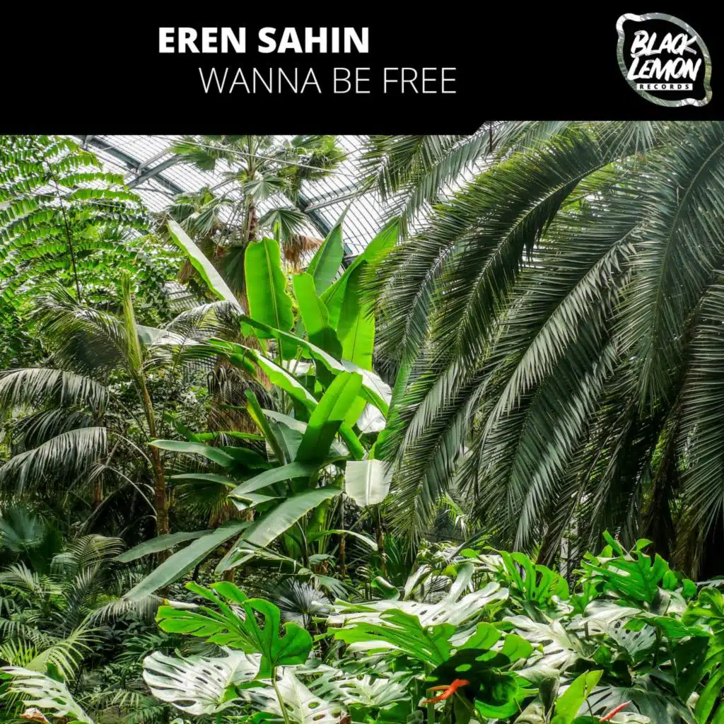 Eren Şahin