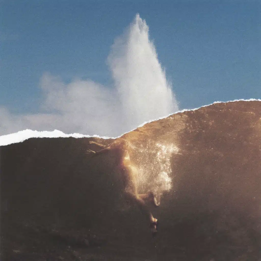 Wilkinson & Amber Van Day