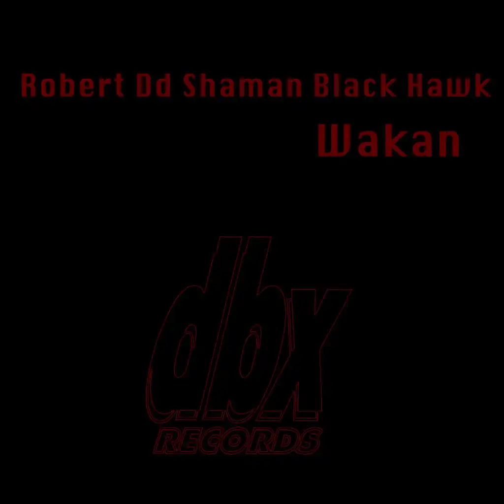 Robert Dd Shaman Black Hawk