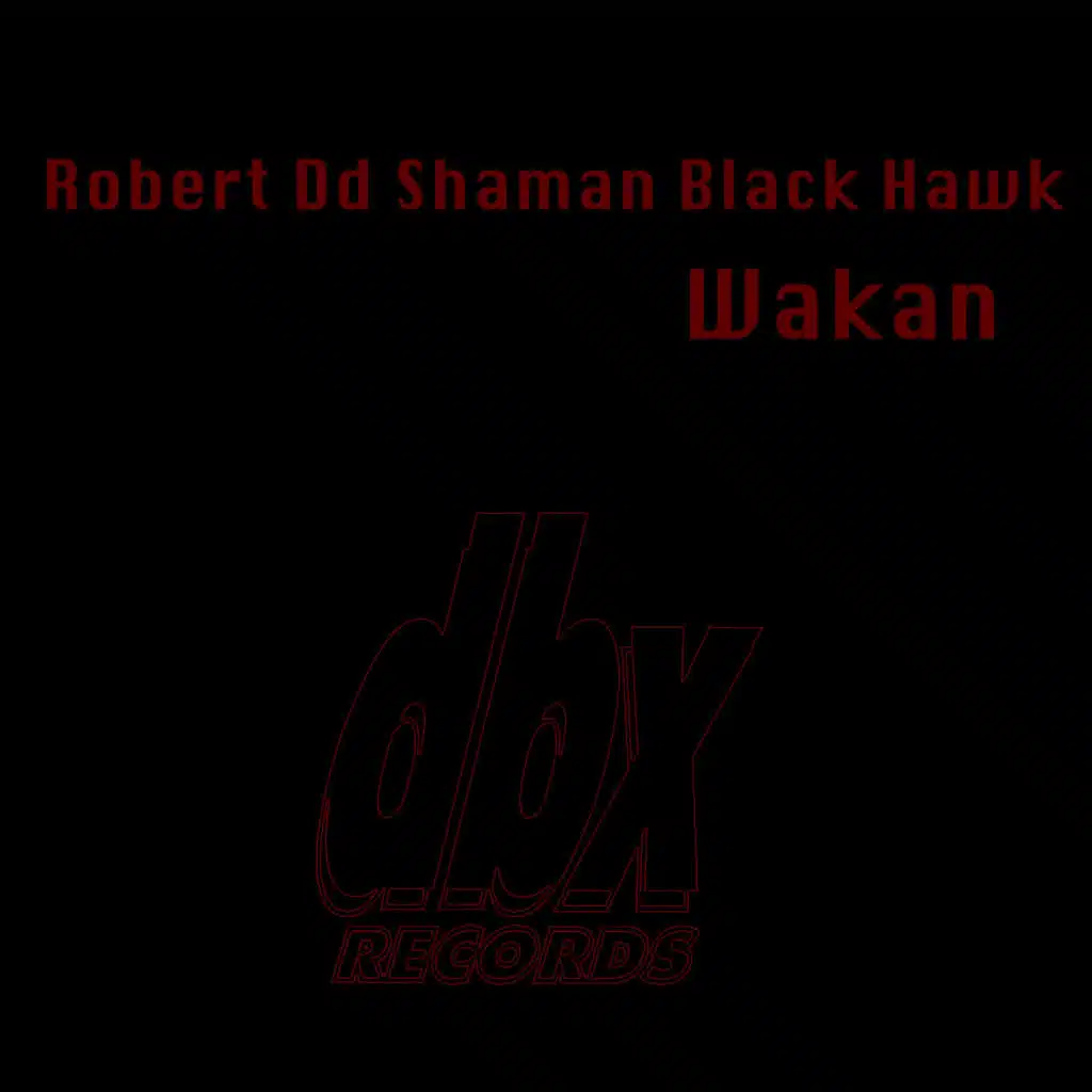 Robert Dd Shaman Black Hawk