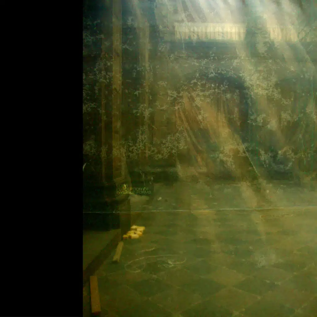 Perception of Invisible Forms