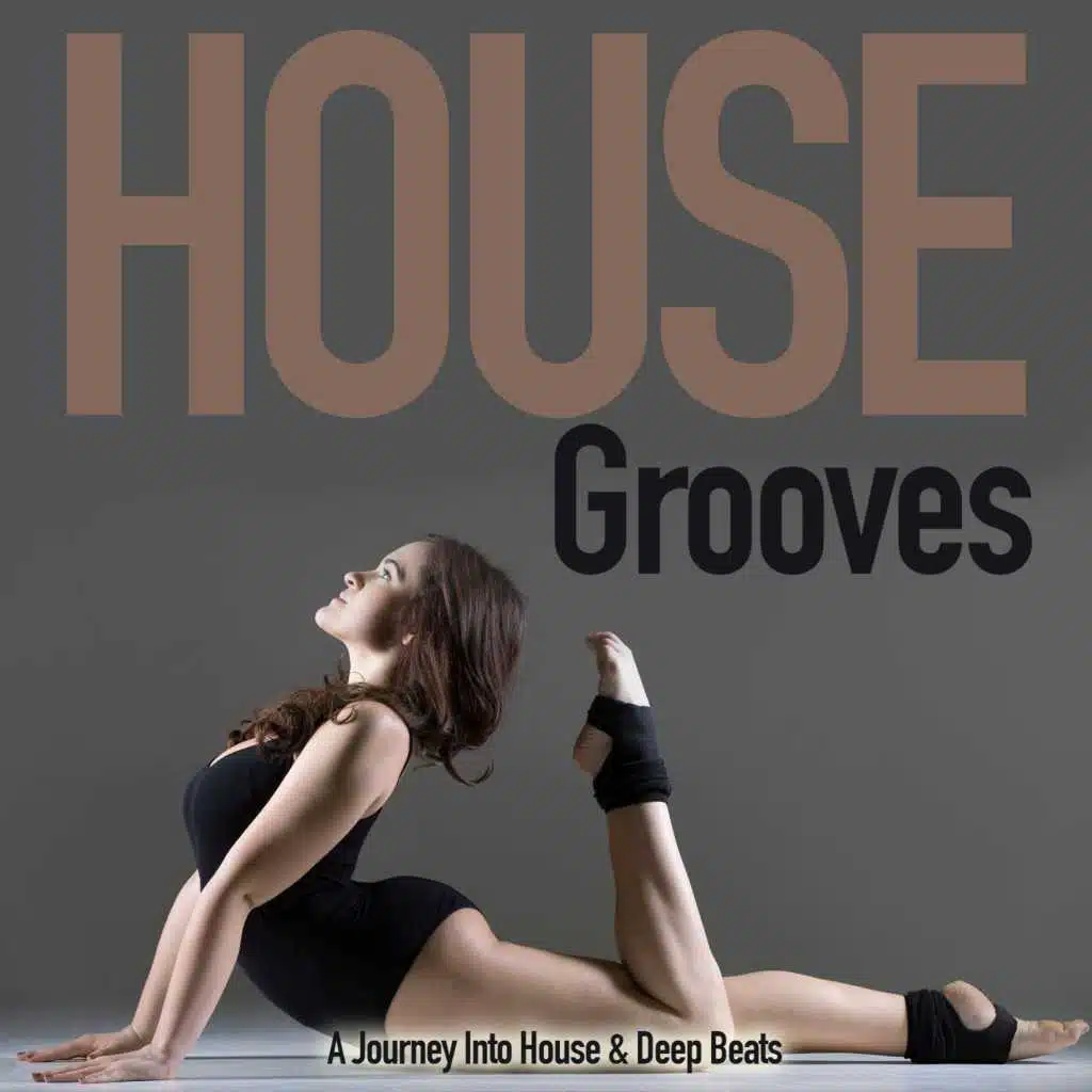 House Groove a Journey into House & Deep Beats
