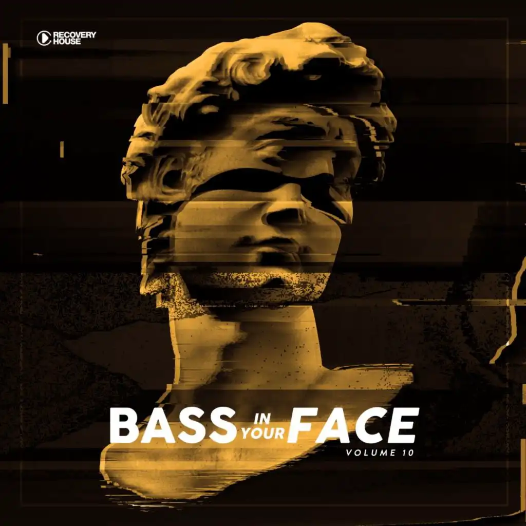 Bass in Your Face, Vol. 10