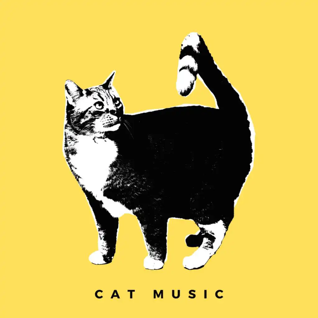 Calming Cats With Music