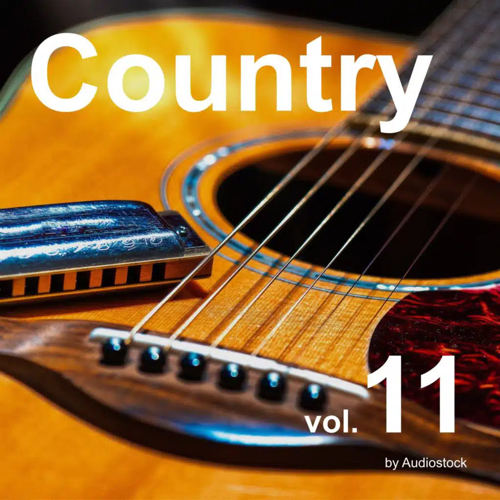 Old fun country
