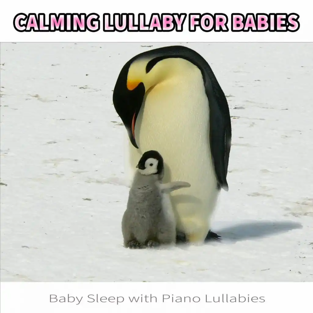 Baby Lullaby and Kid Song