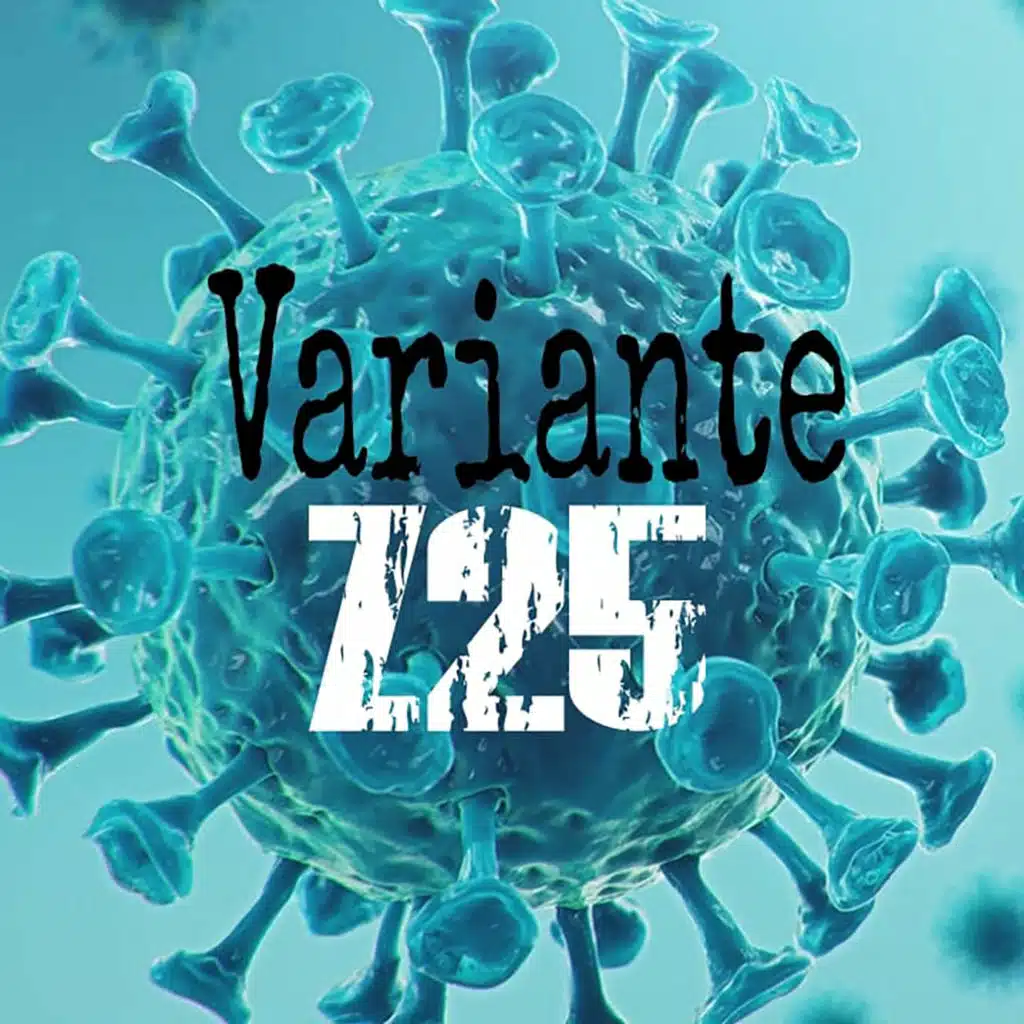 Variante Z25