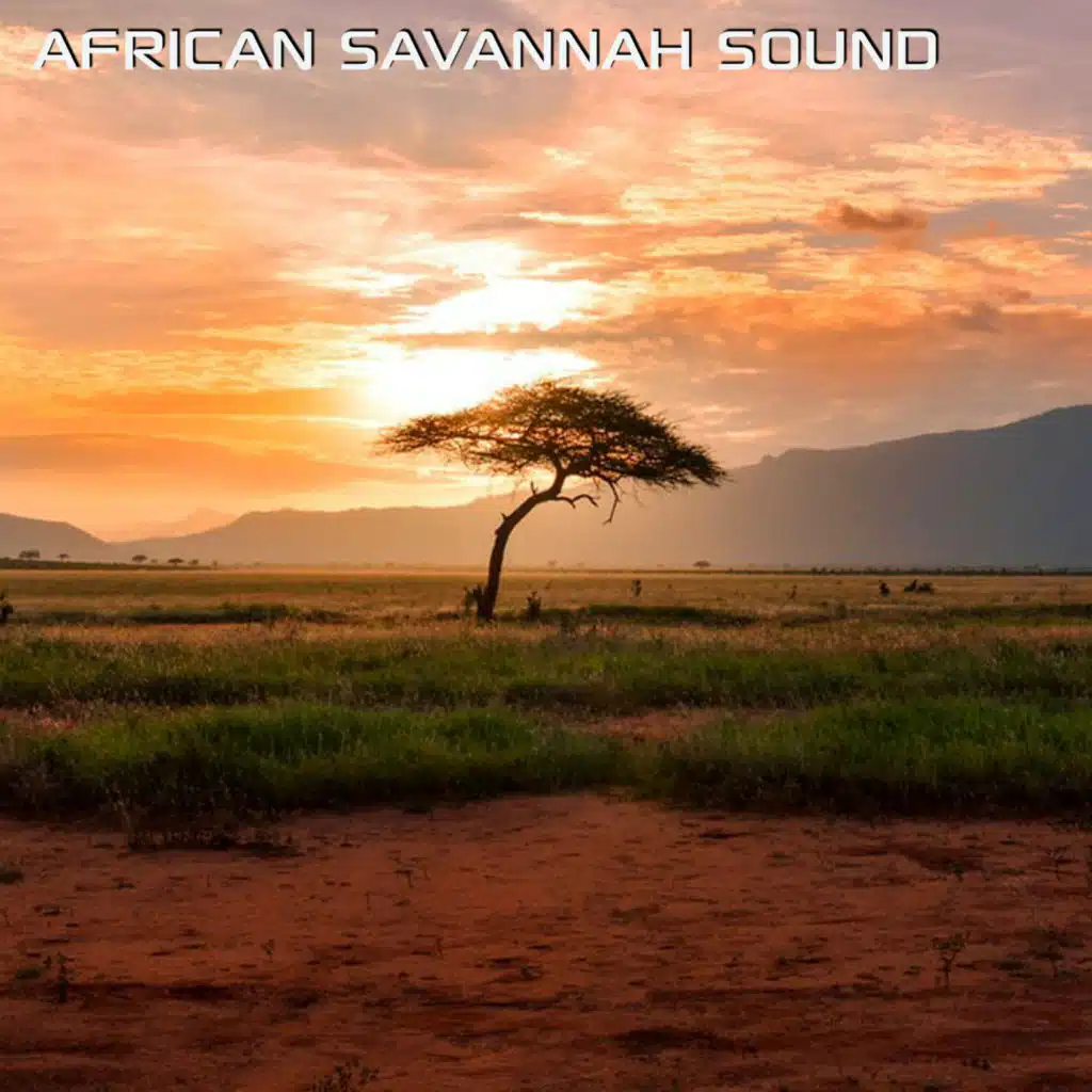 Relaxing African Savannah (feat. Atmosphere Soundscapes, Discovery Africa Sounds, Discovery Nature Sound & Soothing Nature Sounds)