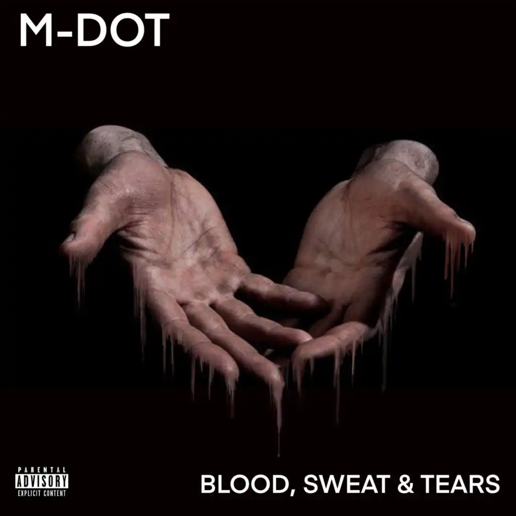 Blood, Sweat & Tears (feat. DJ Decepta)