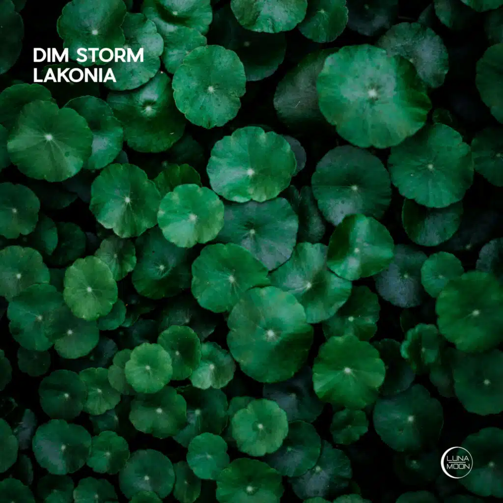 Dim Storm