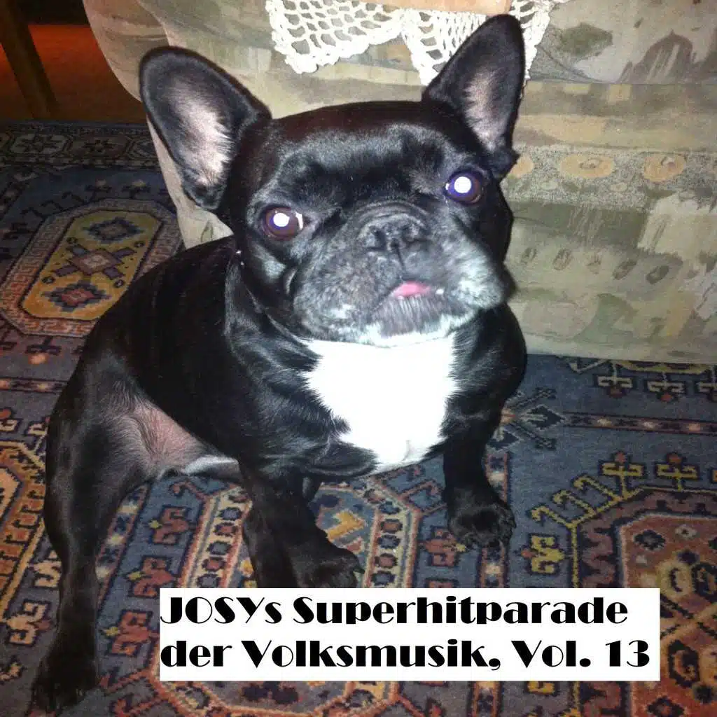 Josys Superhitparade der Volksmusik, Vol. 13