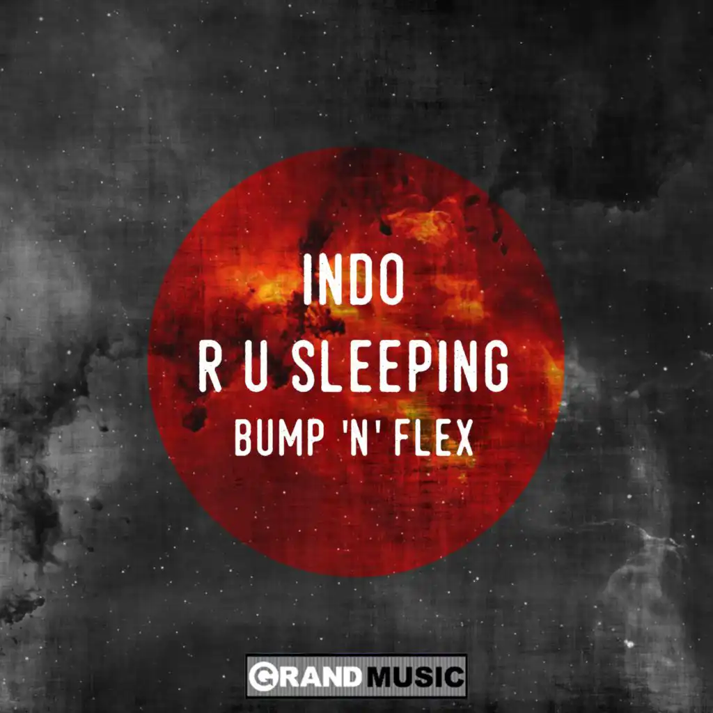 R U Sleeping (Bump N Flex Full Length Vocal) [feat. Bump 'N' Flex]