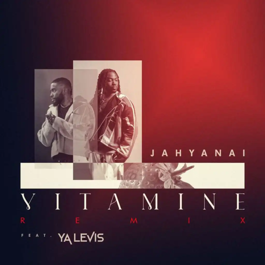 Vitamine (Remix) [feat. Ya Levis]