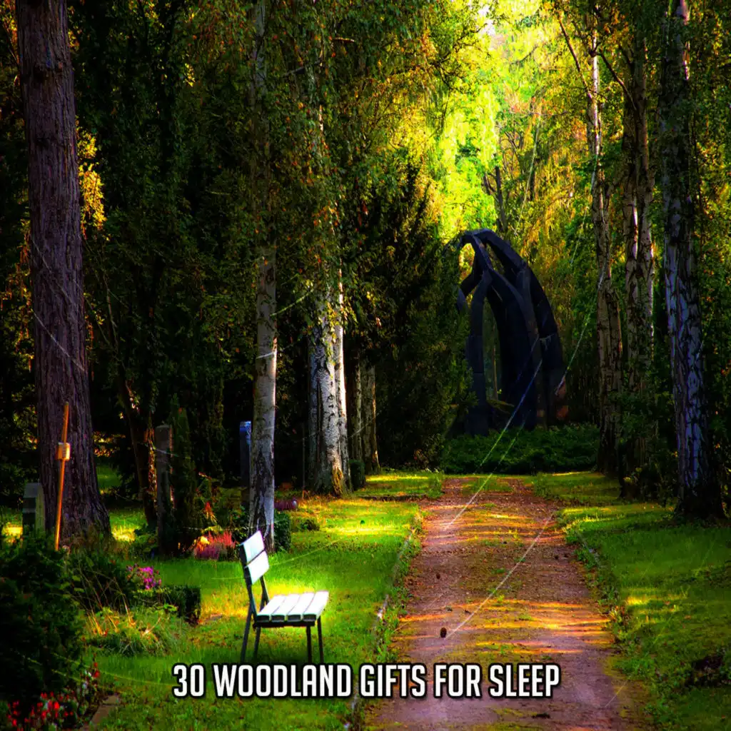 30 Woodland Gifts For Sleep