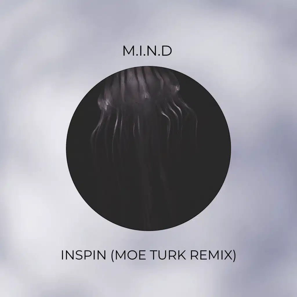 Inspin (Moe Turk Dub Remix)