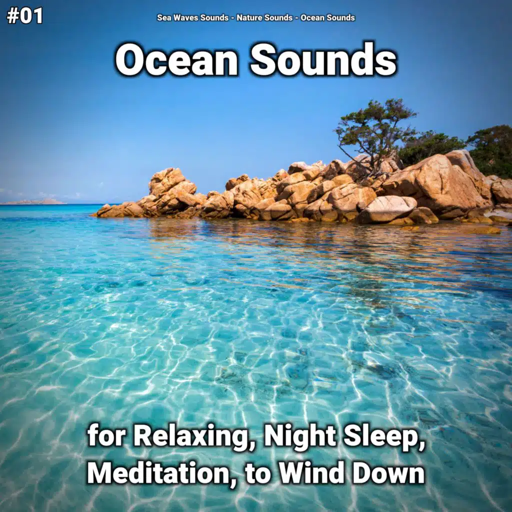 Ocean Sounds Pt. 7