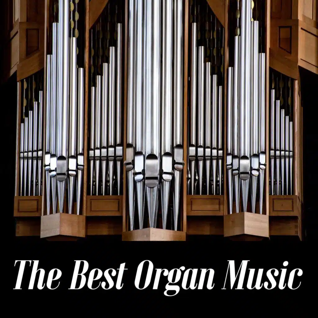 Organ Concerto in C Major, Hob. XVIII:1: II. Largo