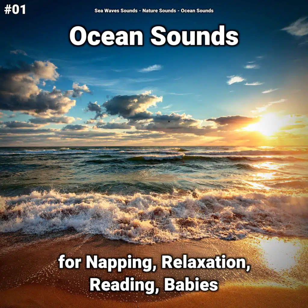 Ocean Sounds Pt. 1