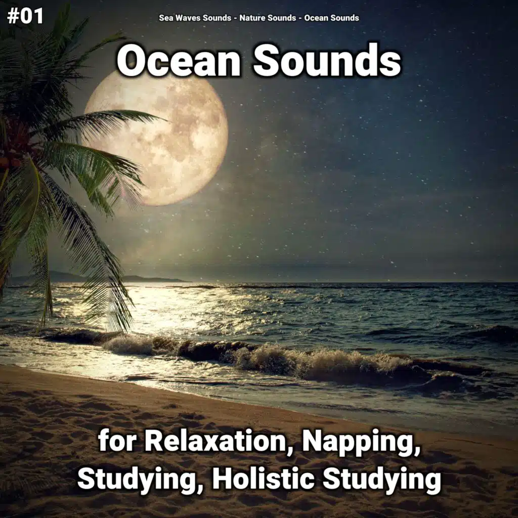 Ocean Sounds Pt. 9