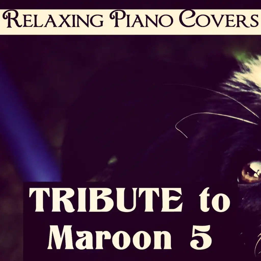 Tribute to Maroon 5