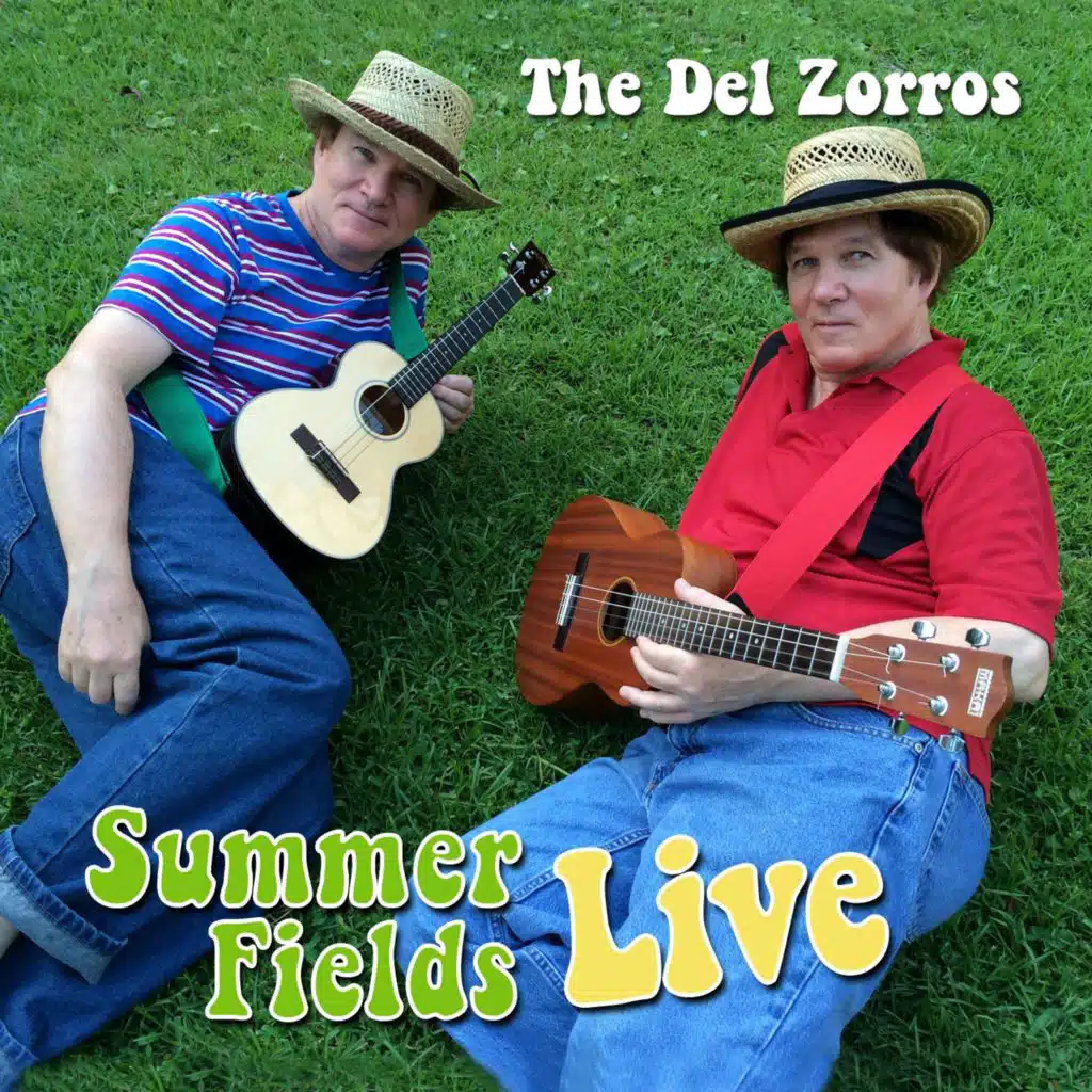 SUMMER FIELDS Live