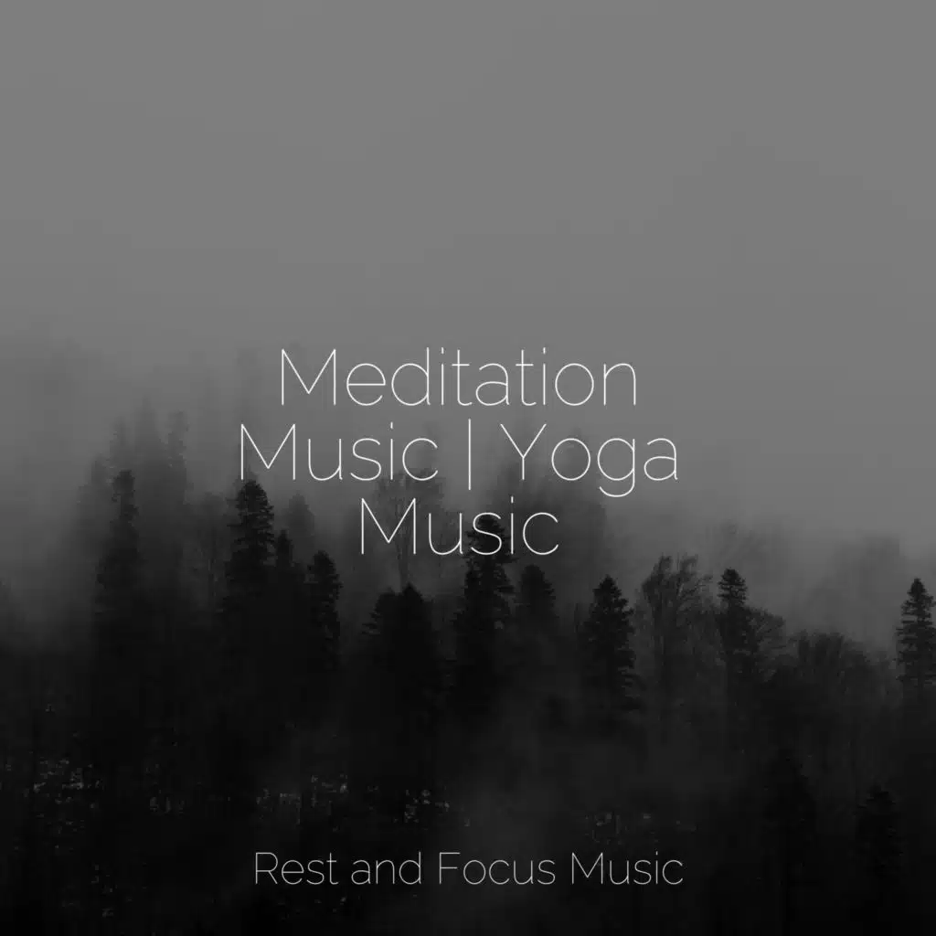 Zen Connection