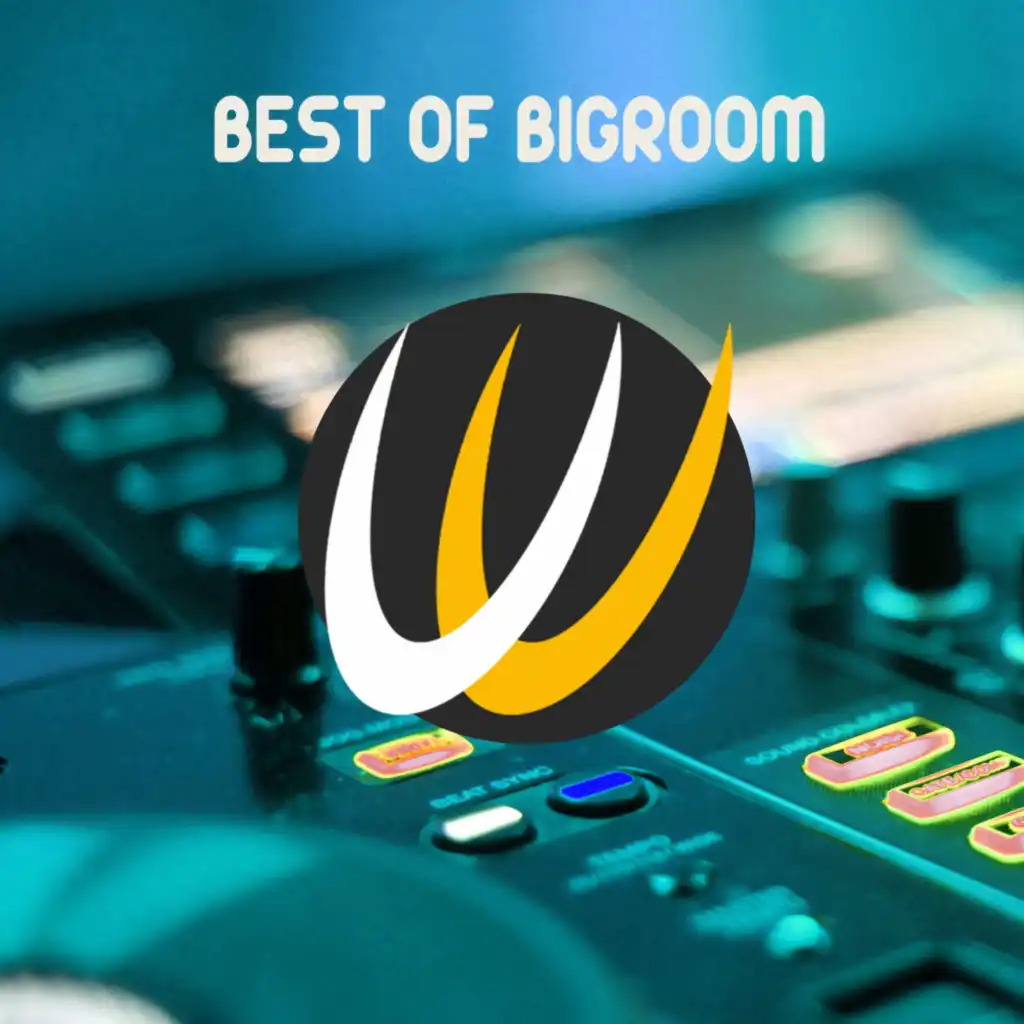 Best of Bigroom