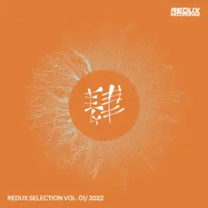 Redux Selection Vol. 1 / 2022