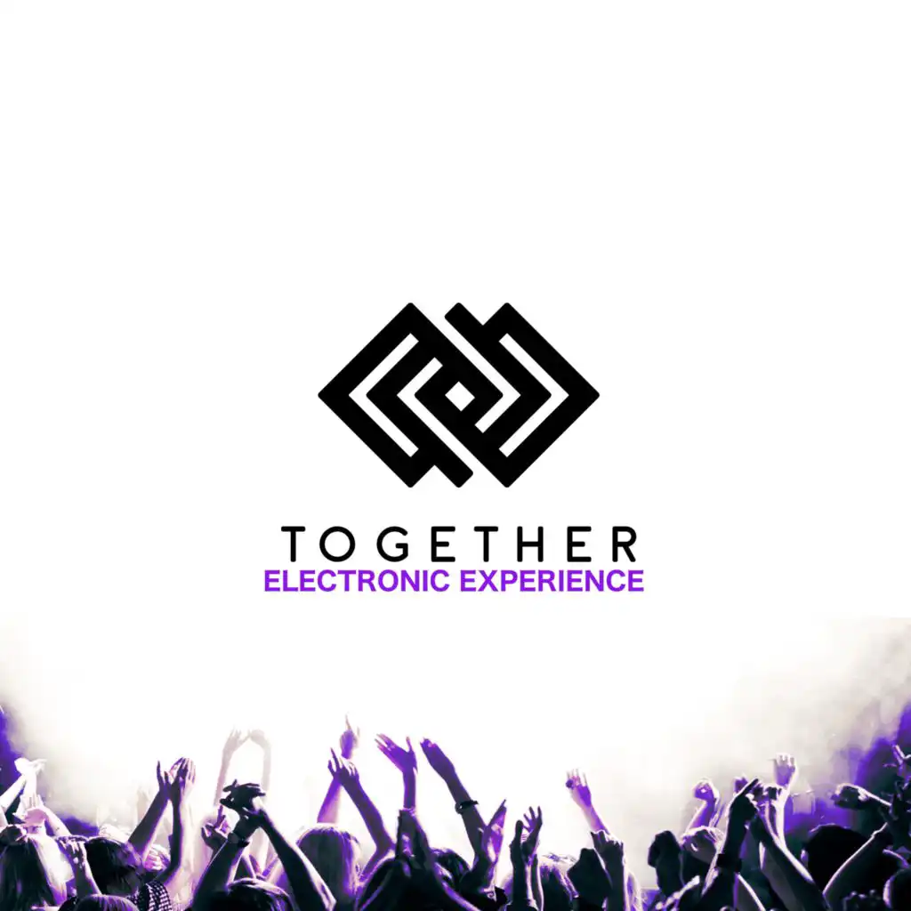 Together Electronic Experience, Vol. 16