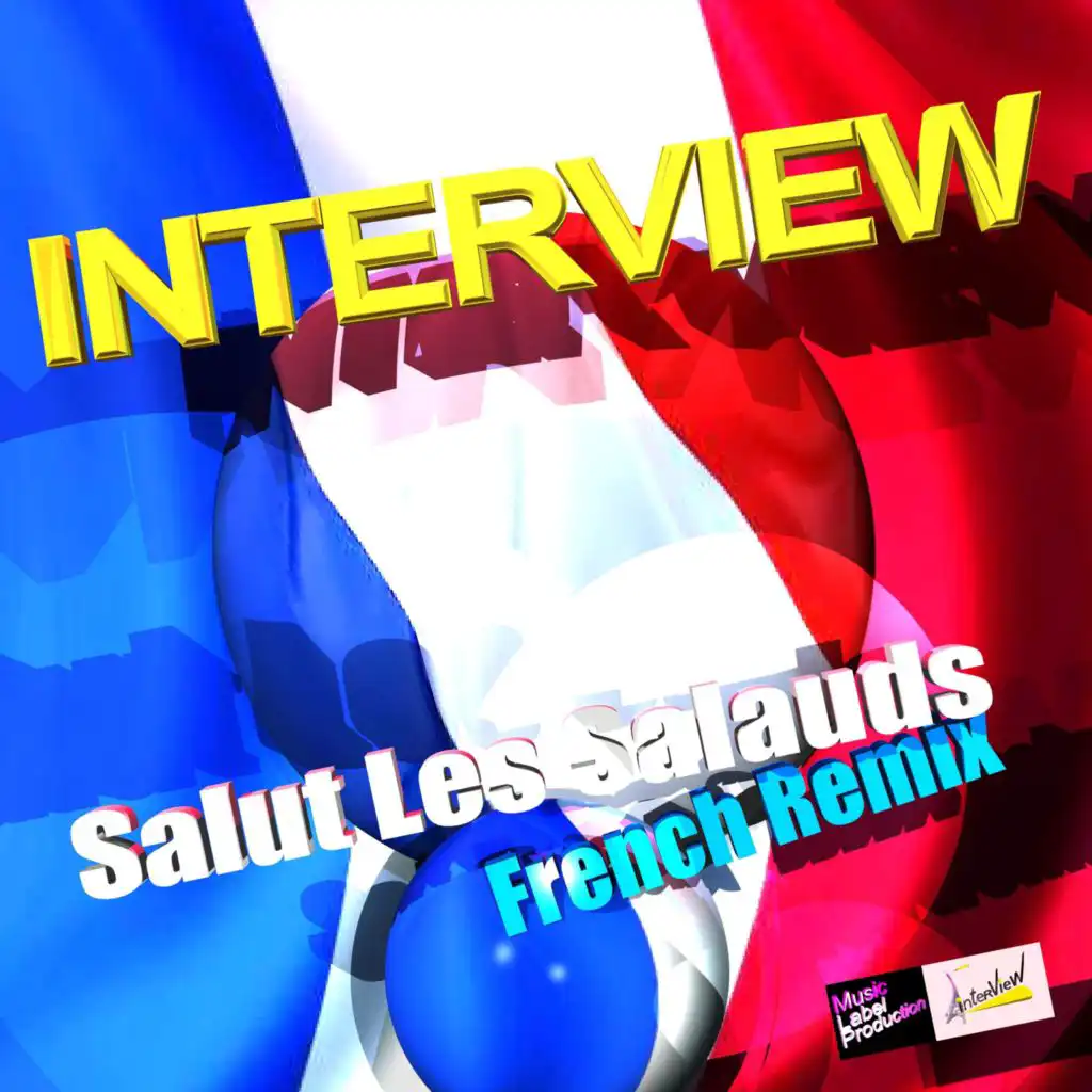 Salut Les Salauds (French Remix) [feat. Bernie Bernthaler]