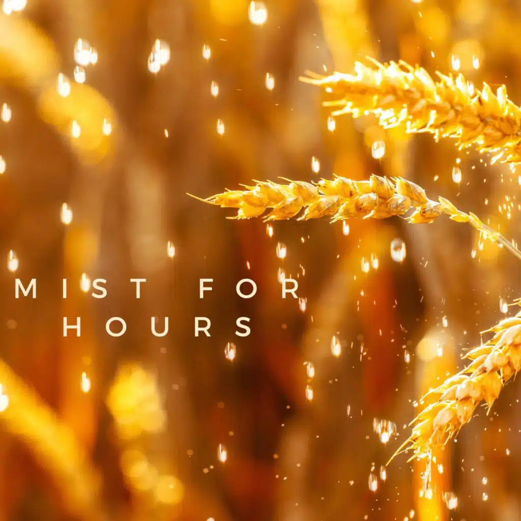 Mist For Hours