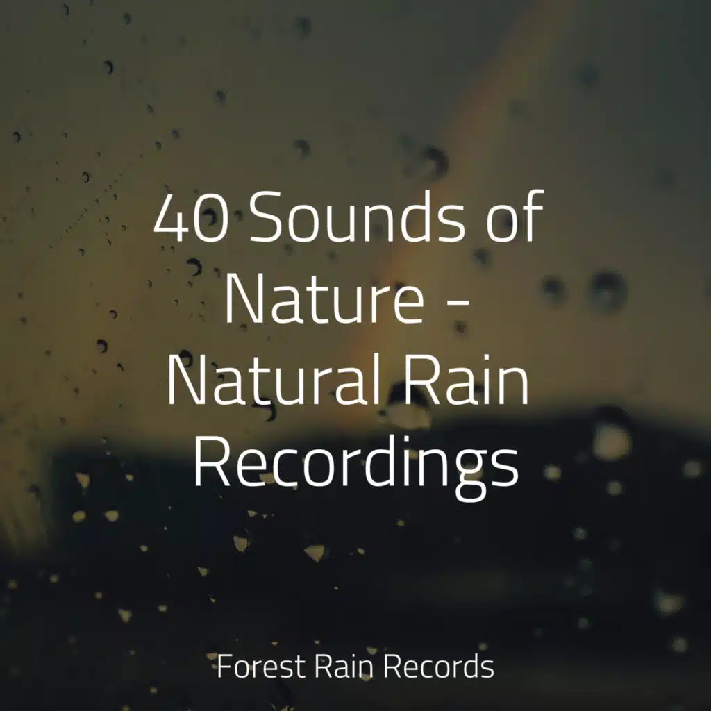 40 Sounds of Nature - Natural Rain Recordings