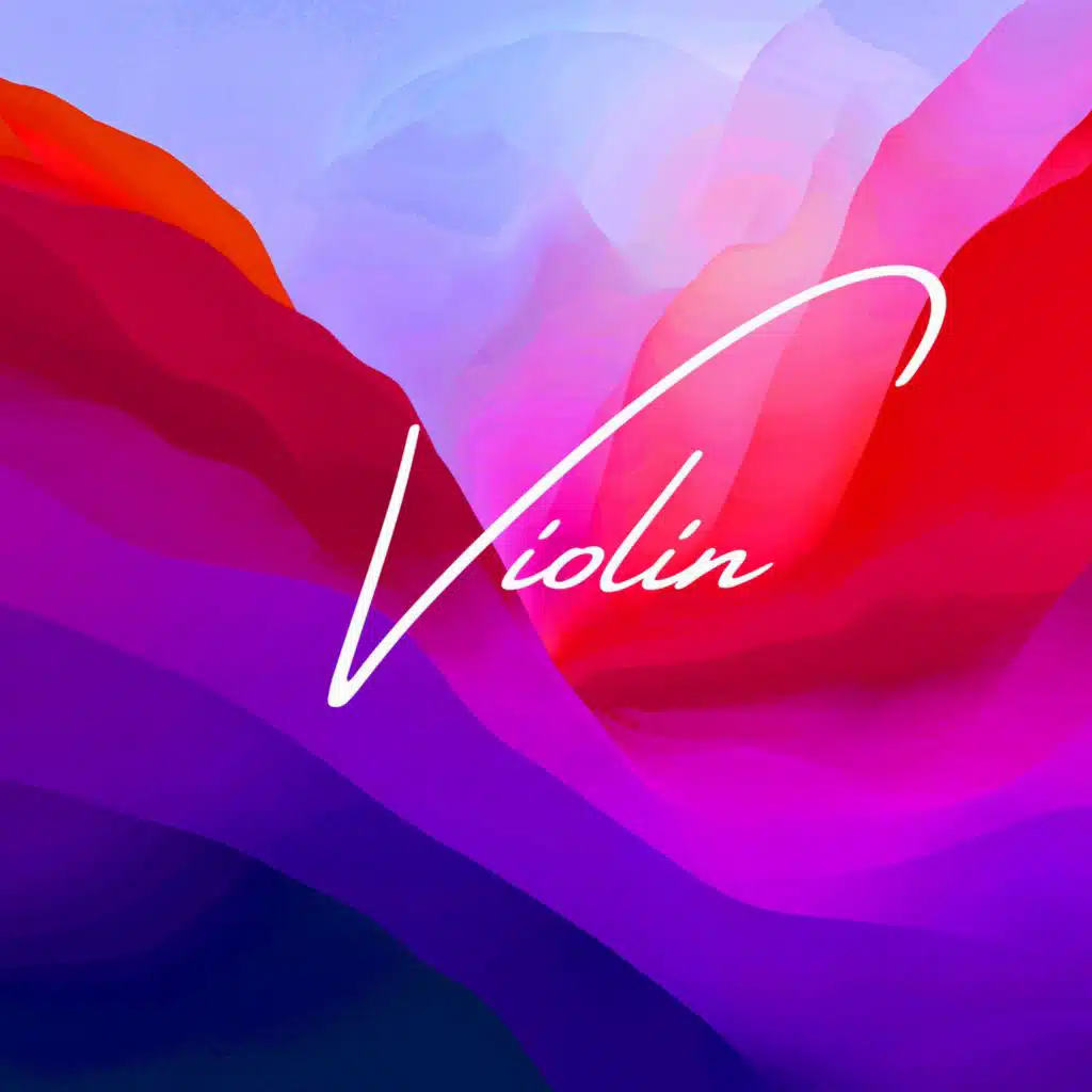 Violin