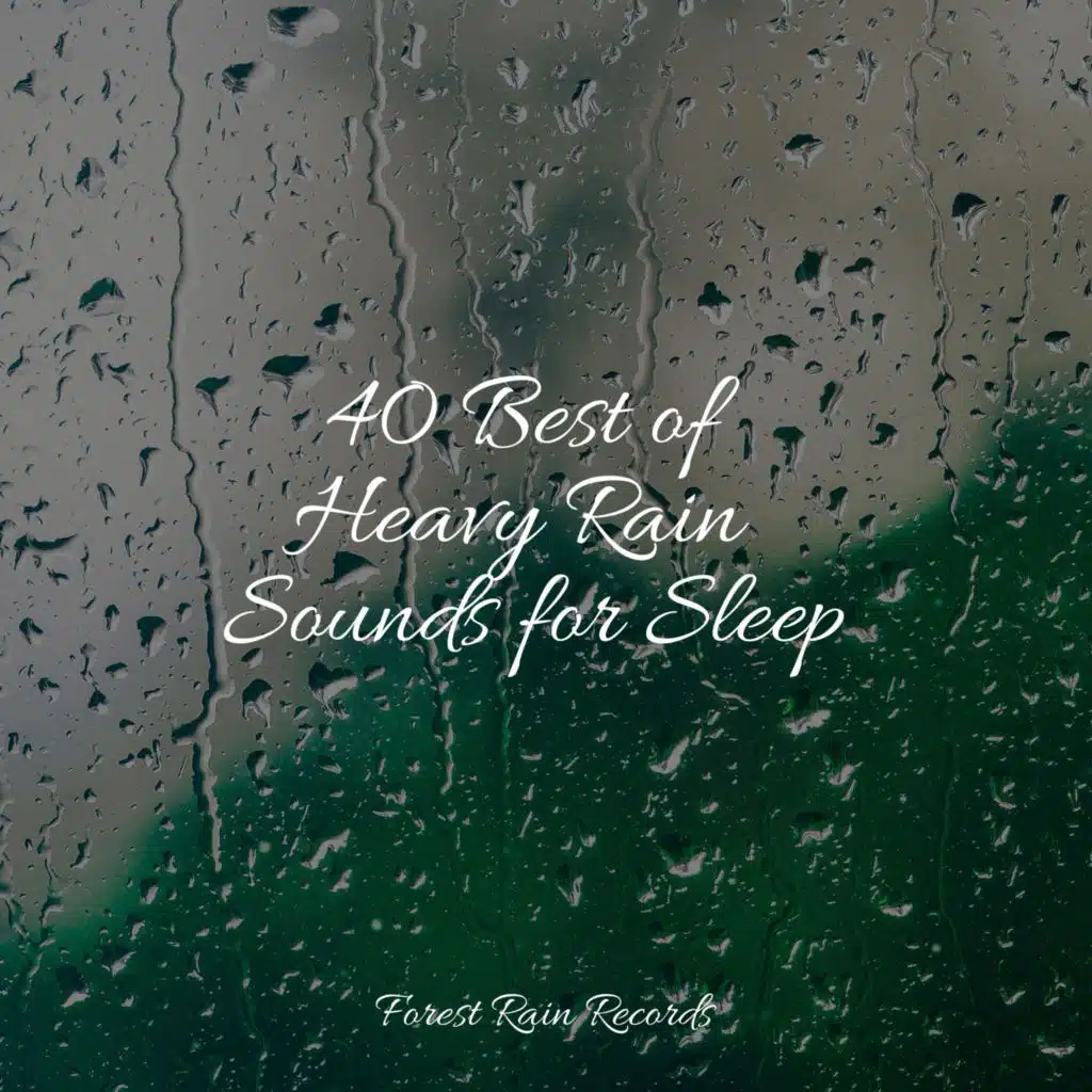 40 Best of Heavy Rain Sounds for Sleep