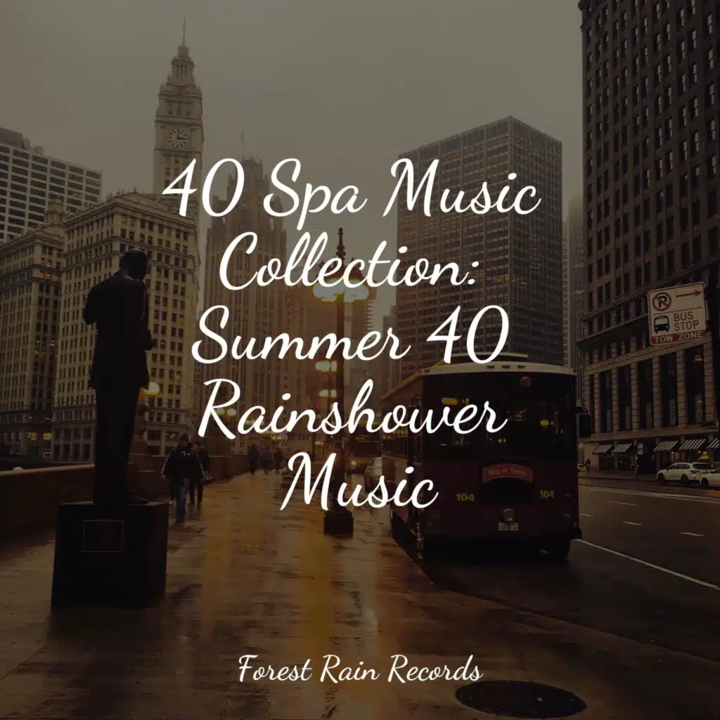 Birds Singing in the Forest