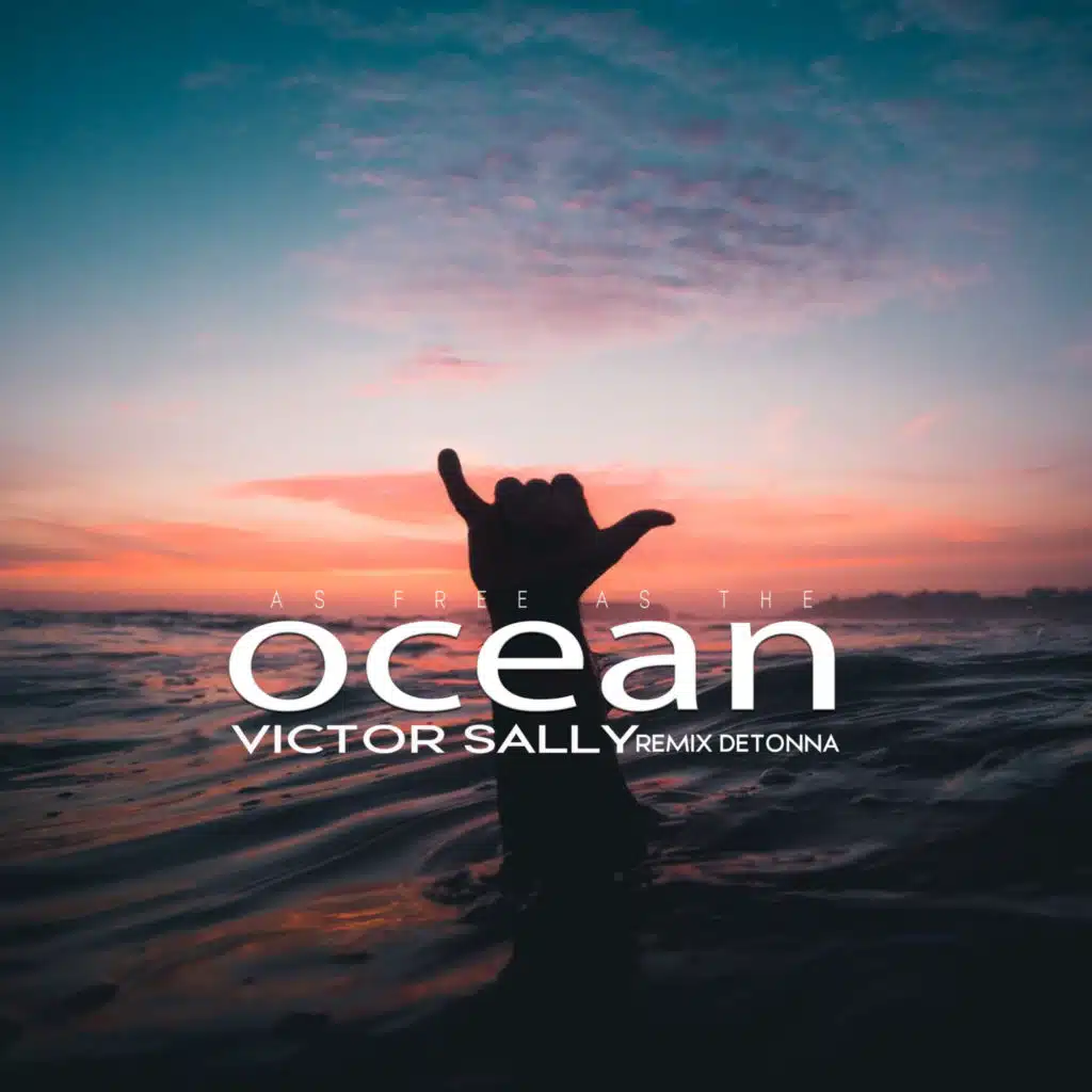 As Free as The Ocean (Remix) [feat. DJ Detonna]