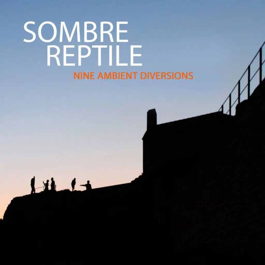 Sombre reptile