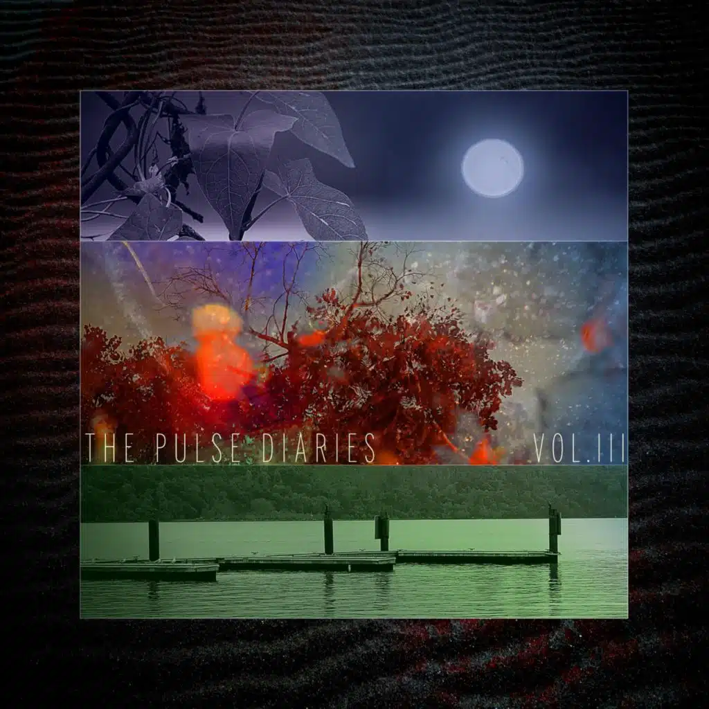 The Pulse Diaries