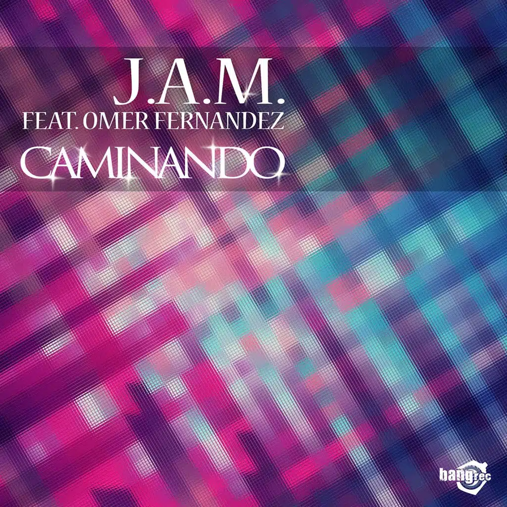 Caminando (Radio Edit)