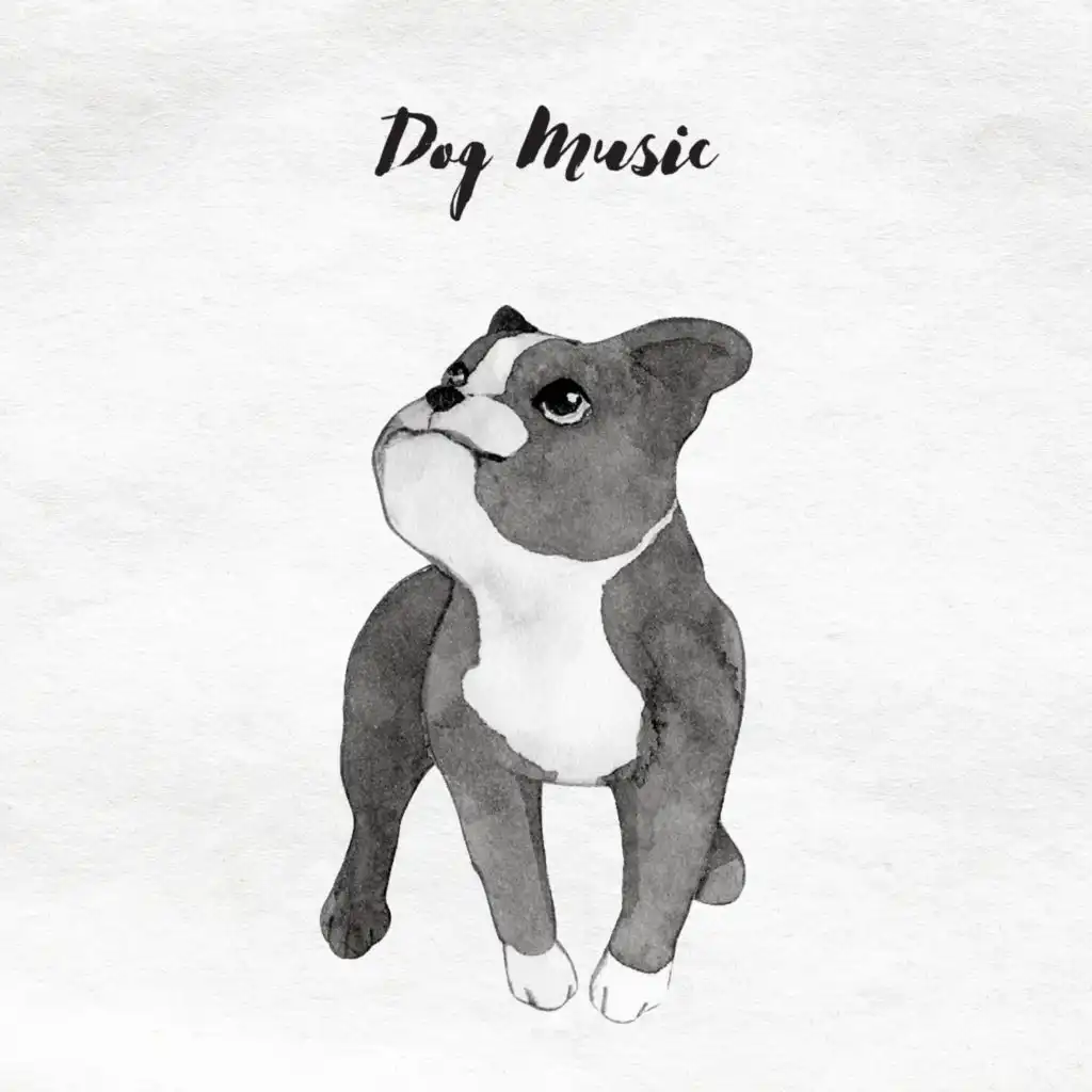 Peaceful Piano For Dogs