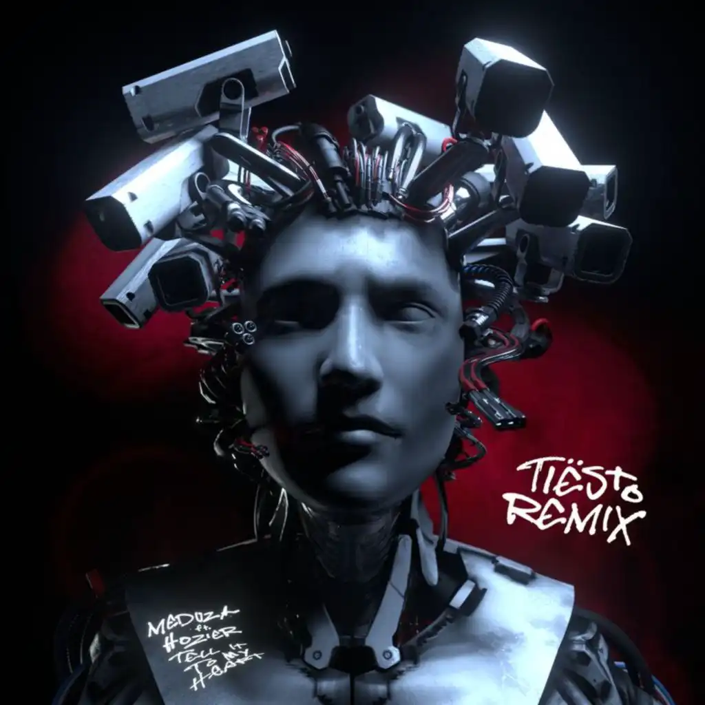 Tell It To My Heart (Tiësto Remix) [feat. Hozier]