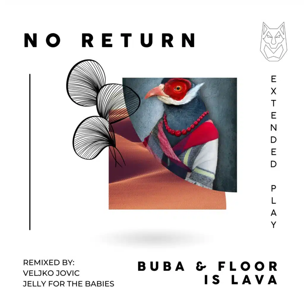 No Return (Veljko Jovic Remix)