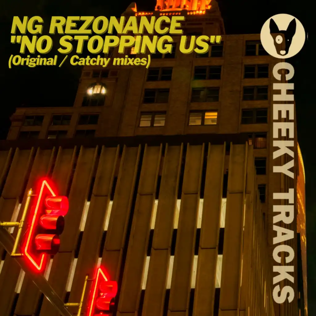 No Stopping Us (Extended Mix)