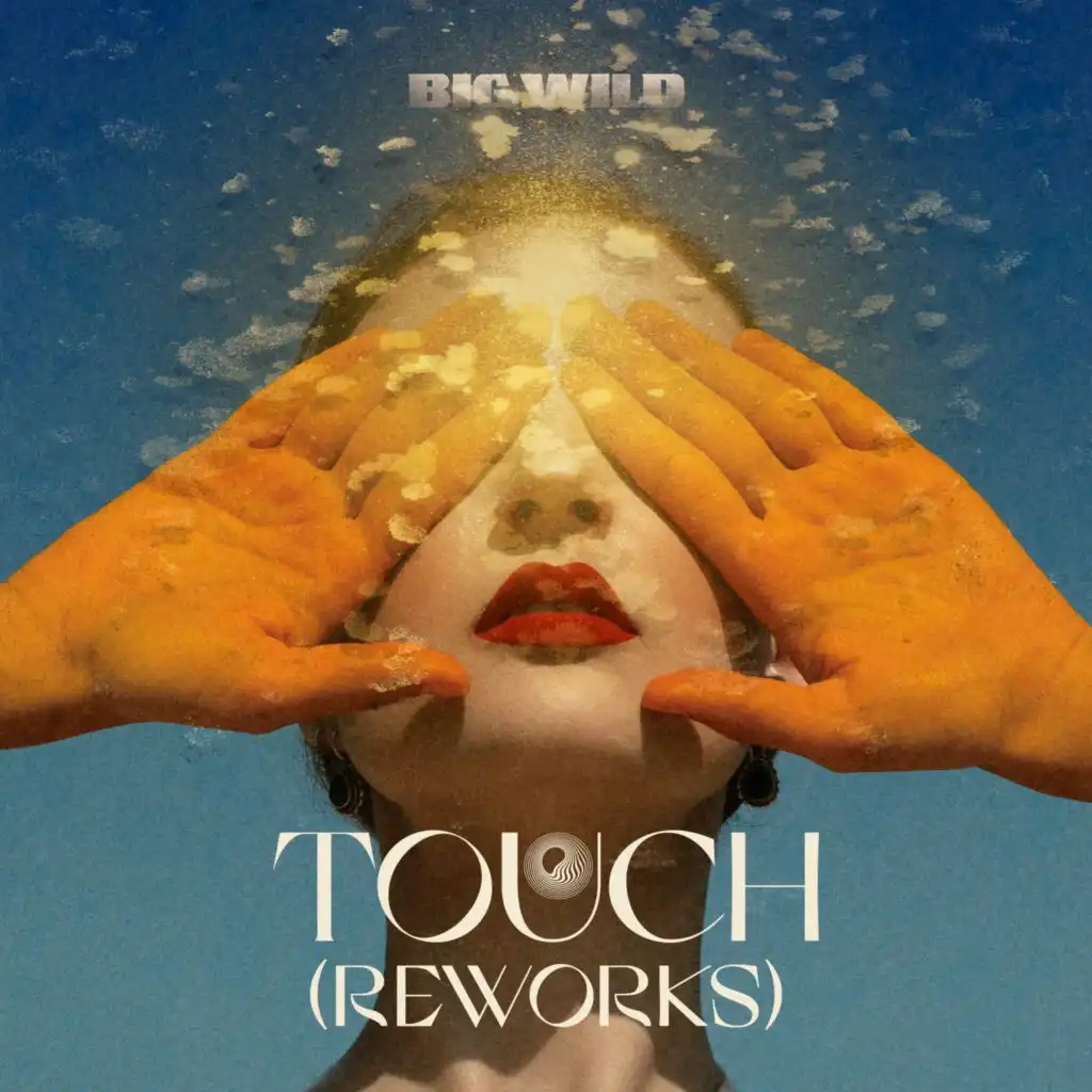 Touch (Remix) [feat. Sotomayor]