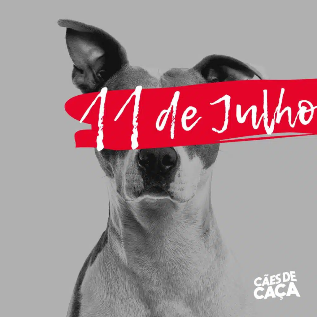 Cães de Caça