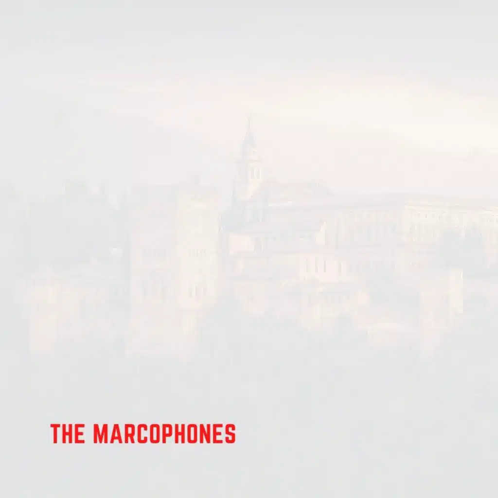 Take8 & Pipo Experience