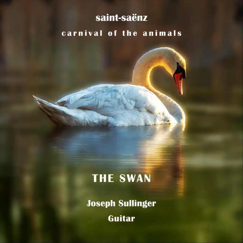 The Carnival of the Animals, R. 125: XIII. The Swan