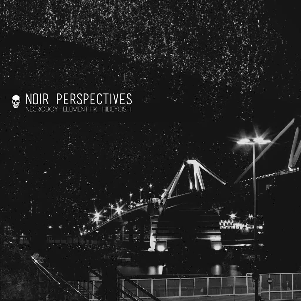 Noir Perspectives